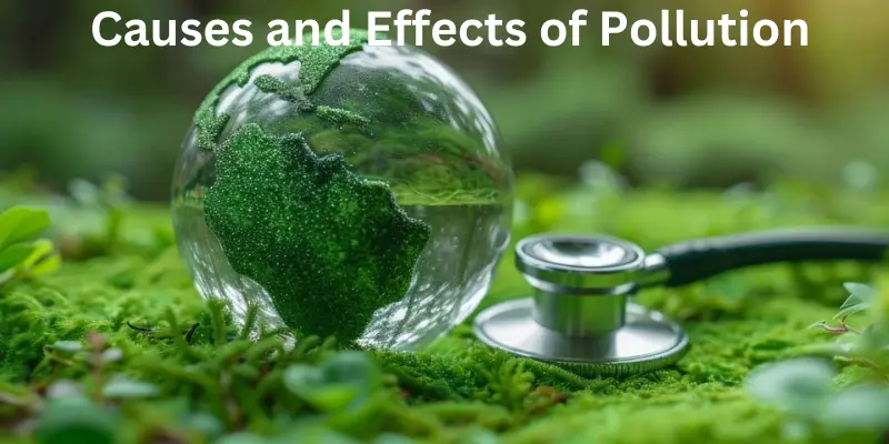 Causes and effects of pollution and protecting the environment
