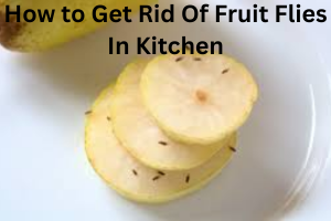 How to Get Rid of Fruit Flies in Kitchen: Fast Complete Home Guide
