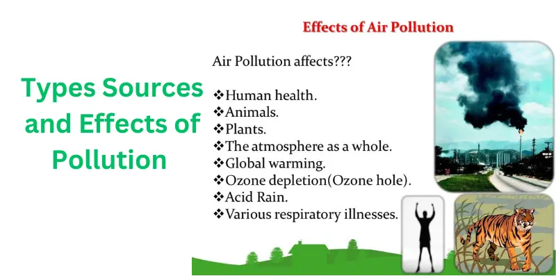 Types sources and effects of pollution causes and effects environmental pollution