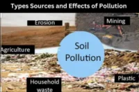 Types, Sources and Effects of Pollution: A Complete Guide to Environmental Impact and Solutions